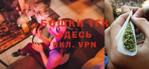 ПСИЛОЦИБИНОВЫЕ ГРИБЫ Абаза