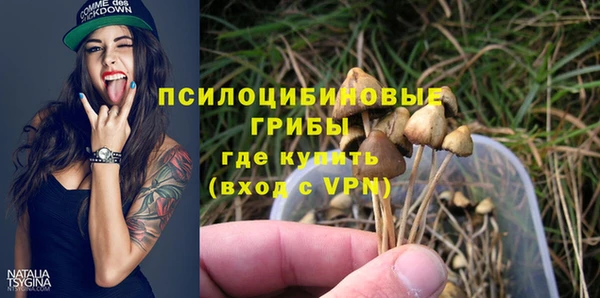 ПСИЛОЦИБИНОВЫЕ ГРИБЫ Абаза