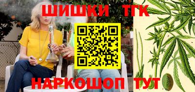 соль ск Славгород