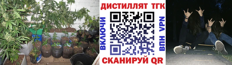 наркота  Урюпинск  Дистиллят ТГК Wax 