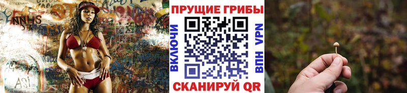 Галлюциногенные грибы MAGIC MUSHROOMS  Урюпинск 