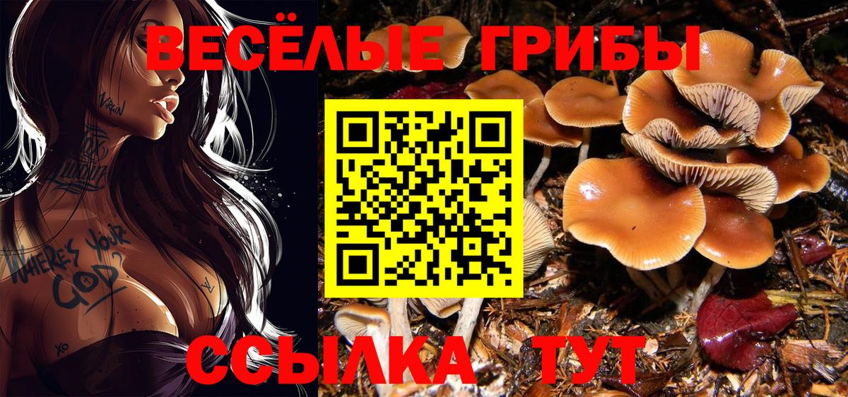 Урюпинск  Галлюциногенные грибы мухоморы  Вход с VPN 